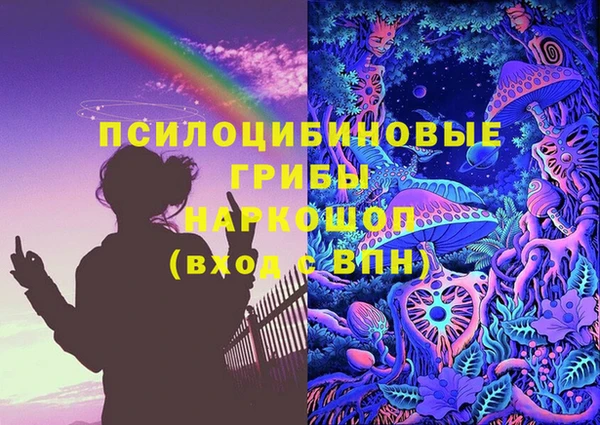 spice Липки