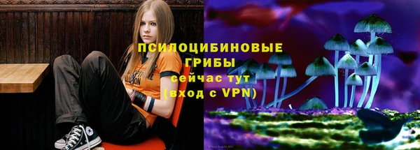 spice Липки