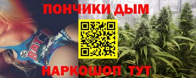 гашик Бийск